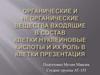Органические и неорганические вещества, входящие в состав клетки. Нуклеиновые кислоты и их роль