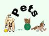 Pets