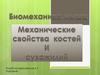 Биомеханика мышц. Механические свойства костей и сухожилий