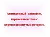 Асинхронный двигатель переменного тока с короткозамкнутым ротором