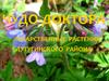Чудо-доктора. Лекарственные растения Лутугинского района