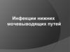 Инфекции нижних мочевыводящих путей