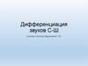 Дифференциация звуков С-Ш