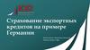 Страхование экспортных кредитов на примере Германии