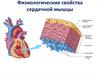 Физиологические свойства сердечной мышцы