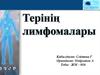 Терінің лимфомалары