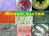 Живые клетки