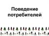 Поведение потребителей. Коммуникационная политика