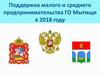 Поддержка малого и среднего предпринимательства ГО Мытищи в 2018 году