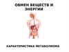 Обмен веществ и энергии. Характеристика метаболизма