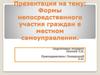 Формы непосредственного участия граждан в местном самоуправлении