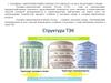 Топливно-энергетический комплекс России (ТЭК) и его роль в экономике страны