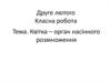 Квітка - орган насінного розмноження
