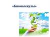 Биомолекулы. Вещества в составе организмов