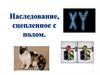 Наследование, сцепленное с полом