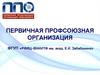 Первичная профсоюзная организация ФГУП «РФЯЦ-ВНИИТФ имени академика Е.И. Забабахина»