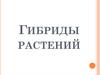 Гибриды растений