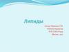 Липиды. 10 класс