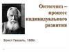 Онтогенез, эмбриогенез, постэмбриональное развитие
