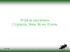 Отряды насекомых. Стрекозы, Вши, Жуки, Клопы. 7 класс
