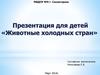 Животные холодных стран
