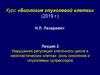 Нарушения регуляции клеточного цикла в неопластических клетках: роль онкогенов и опухолевых супрессоров. Лекция 2