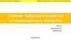 Отличия городского хозяйства от национального хозяйства