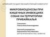 Микробиоценозы при кишечных инфекциях собак на территории Прибайкалья