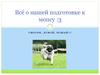 Всё о нашей подготовке к мопсу