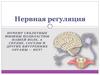 Нервная регуляция
