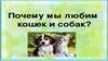 Почему мы любим кошек и собак. Правила ухода за кошкой и за собакой