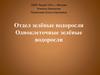 Отдел зелёные водоросли. Одноклеточные зелёные водоросли