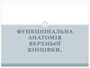 Функціональна анатомія верхньої кінцівки