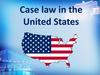Case law in the United States