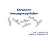 Chromatin immunoprecipitation