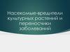 Насекомые - вредители культурных растений и переносчики заболеваний