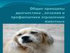 Общие принципы диагностики, лечения и профилактики отравлений животных
