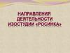 Направления деятельности изостудии "Росинка"