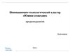 Инновационно-технологический кластер «Южное созвездие»