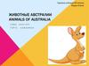 Животные Австралии animals of Australia