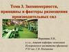Закономерности, принципы и факторы размещения производительных сил