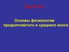 Физиология продолговатого и среднего мозга. (Лекция 8)