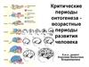 Критические периоды онтогенеза - возрастные периоды развития человека