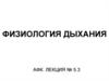 Физиология дыхания. (Лекция 5.3)
