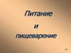 Питание и пищеварение. 6 класс