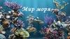 Мир моря. Обитатели. Фото