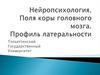 Нейропсихология. Поля коры головного мозга. Профиль латеральности