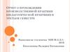 Отчет о прохождении производственной практики (педагогической практики) в третьем семестре