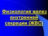 Физиология желез внутренней секреции (ЖВС)
