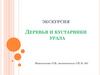 Экскурсия. Деревья и кустарники Урала